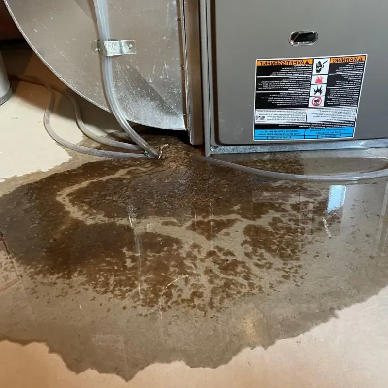 Pipe Burst and Leak Restoration in Chicago Ridge, IL